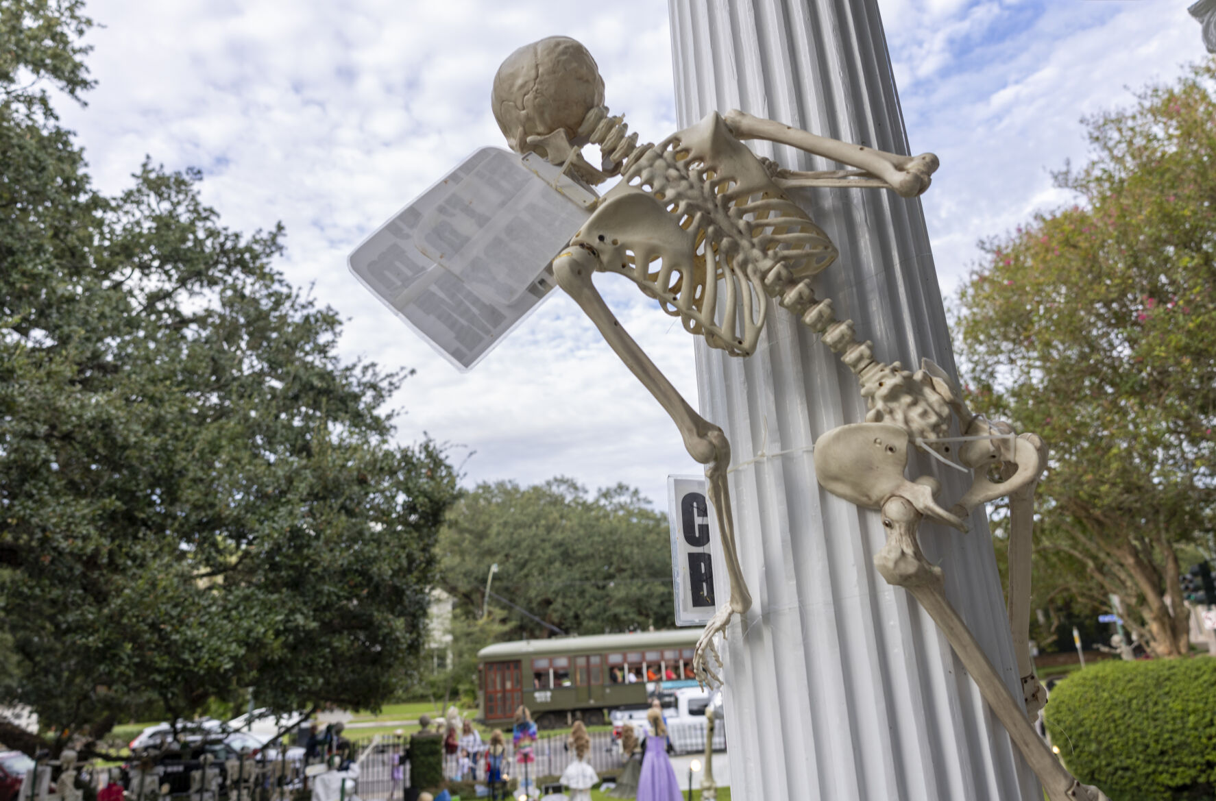 NO.skeletons.adv_441.JPG